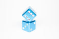 1 D6 - Aquamarine - Gemstone Collection - Dice sold individually - GRAVITY DICE