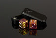 D6 Dice - Out of this World Collection: NGC 1569 - Select Your Dice & Case - GRAVITY DICE