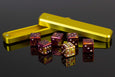 D6 Dice - Out of this World Collection: NGC 1569 - Select Your Dice & Case - GRAVITY DICE