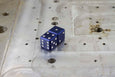 D6 Dice - Navy Blue (Limited Edition Color) - Select Your Dice & Case - GRAVITY DICE